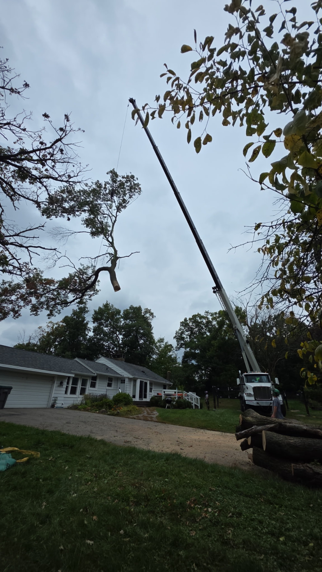 Crane lifting a tree section over a West Metro home