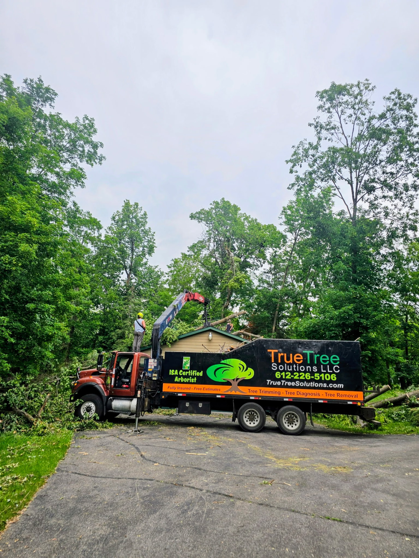 True Tree Solutions truck and grapple loader on a job site